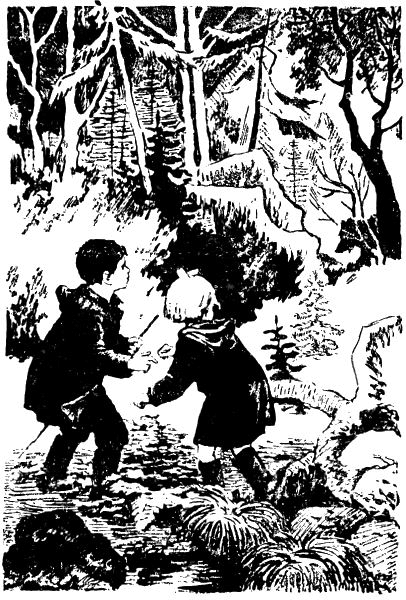 Солнечная Северяния - i_019.png