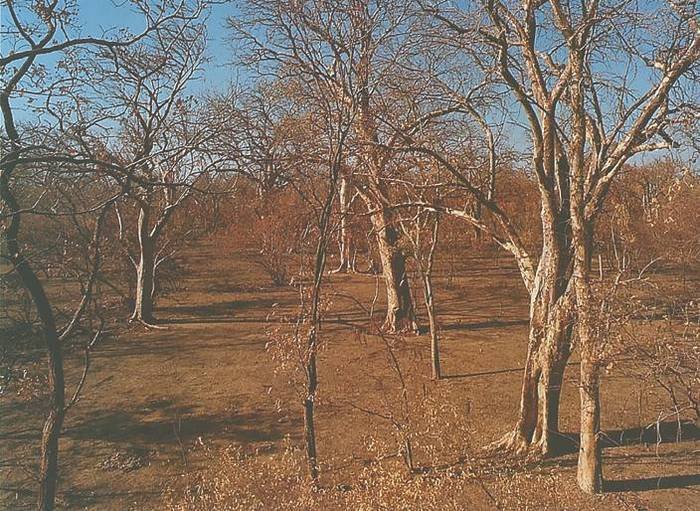 Географические открытия - i_045.jpg