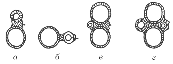 Современная энциклопедия охоты - i_019.png