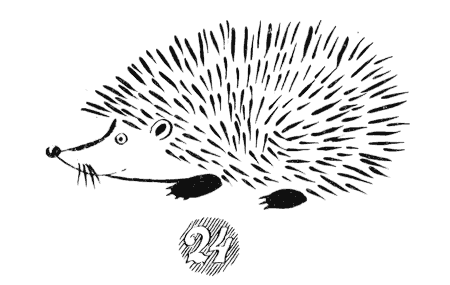 25 загадок — 25 отгадок - i_051.png