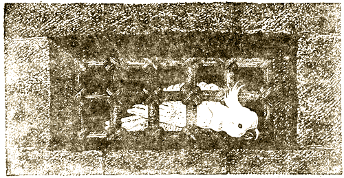 Доктор Айболит [Издание 1936 г.] - i_032.png