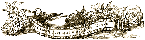 Доктор Айболит [Издание 1936 г.] - i_076.png