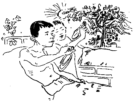 Солнечная - i_006.png
