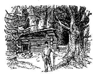 Русские народные сказки (Сост. В. П. Аникин) - _42.jpg