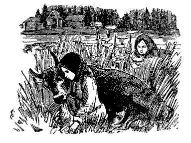 Русские народные сказки (Сост. В. П. Аникин) - _53.jpg
