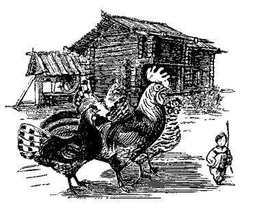 Русские народные сказки (Сост. В. П. Аникин) - _54.jpg