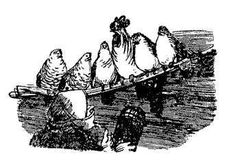 Русские народные сказки (Сост. В. П. Аникин) - _62.jpg