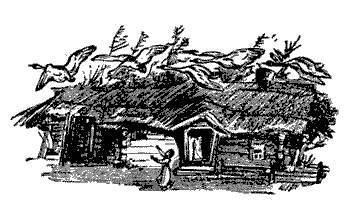 Русские народные сказки (Сост. В. П. Аникин) - _68.jpg