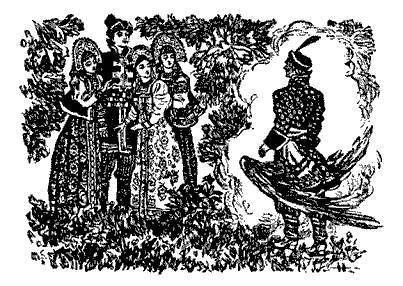 Русские народные сказки (Сост. В. П. Аникин) - _81.jpg
