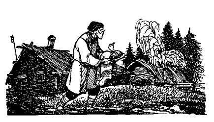 Русские народные сказки (Сост. В. П. Аникин) - _95.jpg