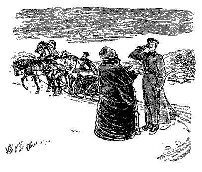 Русские народные сказки (Сост. В. П. Аникин) - _100.jpg