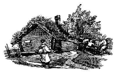 Русские народные сказки (Сост. В. П. Аникин) - _102.jpg