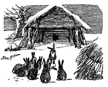Русские народные сказки (Сост. В. П. Аникин) - _29.jpg