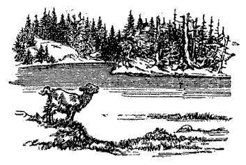 Русские народные сказки (Сост. В. П. Аникин) - _51.jpg
