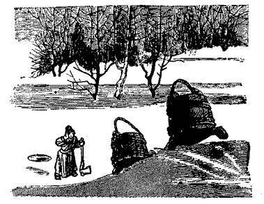 Русские народные сказки (Сост. В. П. Аникин) - _89.jpg