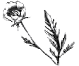 Дом шалунов - _11.png