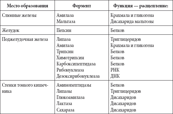 Краткий справочник необходимых знаний - i_176.png