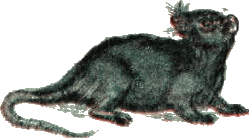 Золушка. Художник А. Рейпольский - i_014.png