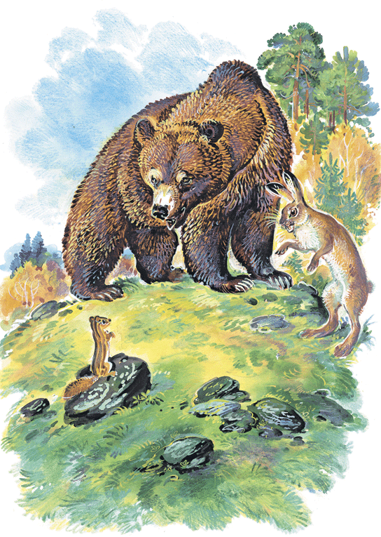 Лесные сказки - i_030.png