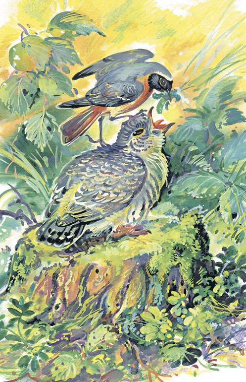 Лесные сказки - i_045.jpg