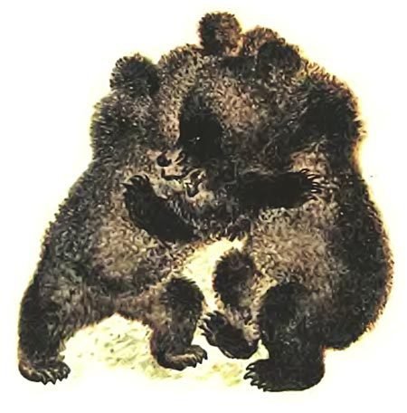 Медвежья горка - i_001.jpg