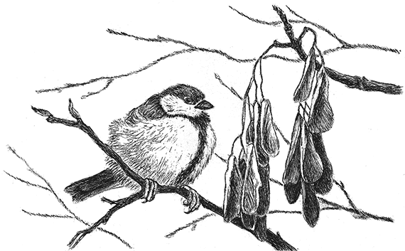 Лесные разведчики (сборник) - i_026.png