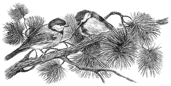 Лесные разведчики (сборник) - i_029.png