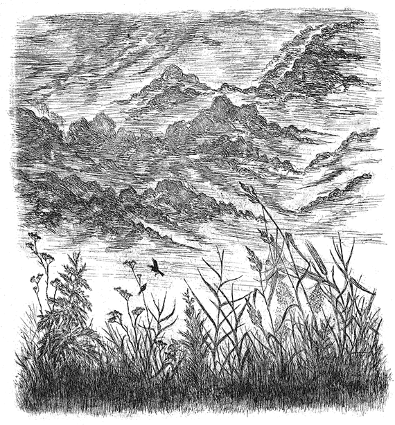 Лесные разведчики (сборник) - i_030.png