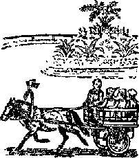 Что я видел (сборник) - i_102.png