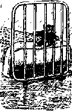 Что я видел (сборник) - i_112.png