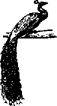 Что я видел (сборник) - i_131.png