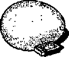 Что я видел (сборник) - i_140.png