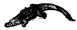 Что я видел (сборник) - i_143.png