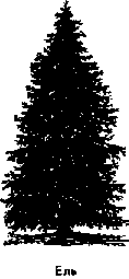 Что я видел (сборник) - i_176.png