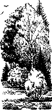 Что я видел (сборник) - i_178.png