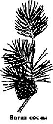 Что я видел (сборник) - i_179.png