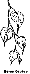 Что я видел (сборник) - i_180.png