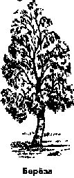 Что я видел (сборник) - i_183.png