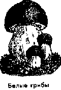 Что я видел (сборник) - i_184.png