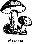 Что я видел (сборник) - i_185.png