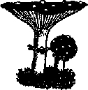 Что я видел (сборник) - i_190.png