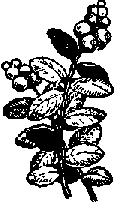 Что я видел (сборник) - i_195.png