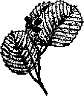 Что я видел (сборник) - i_197.png
