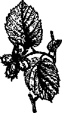 Что я видел (сборник) - i_198.png