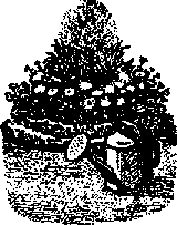Что я видел (сборник) - i_200.png