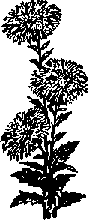 Что я видел (сборник) - i_202.png