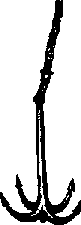 Что я видел (сборник) - i_222.png
