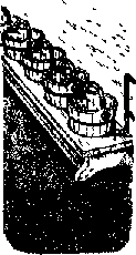 Что я видел (сборник) - i_235.png