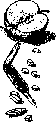 Что я видел (сборник) - i_266.png