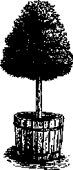 Что я видел (сборник) - i_267.png